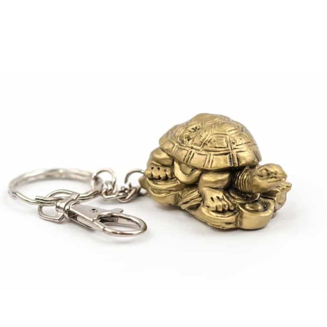 maestros espirituales amuletos para la prosperidad tortuga chicago