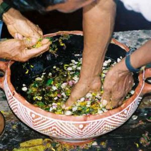 maestros espirituales ritual de florecimiento en chicago