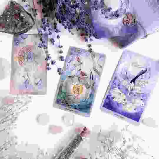 amarres de amor west olive mi botanica maestros espirituales webp