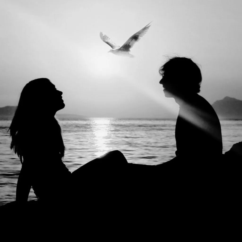 Dominios de Amor Chicago