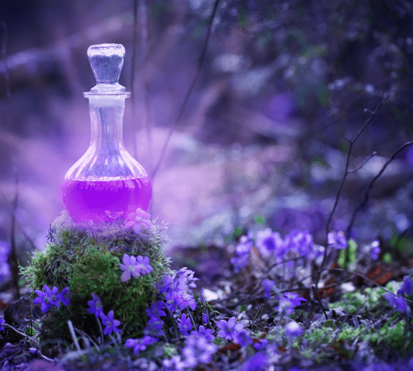 Santeria Wood Dale IL